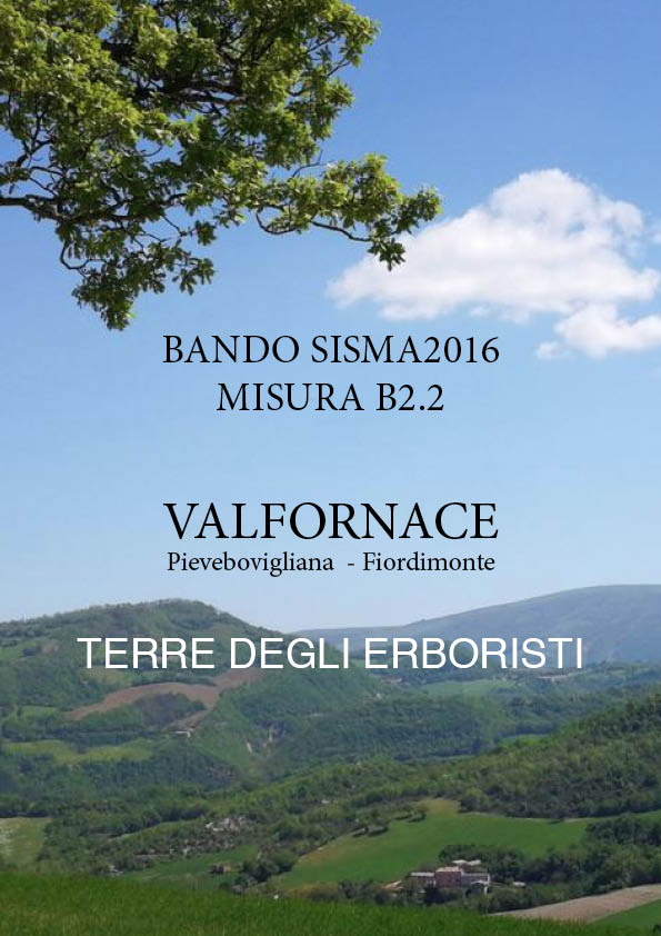 DEGLI_ERBORISTI.jpg