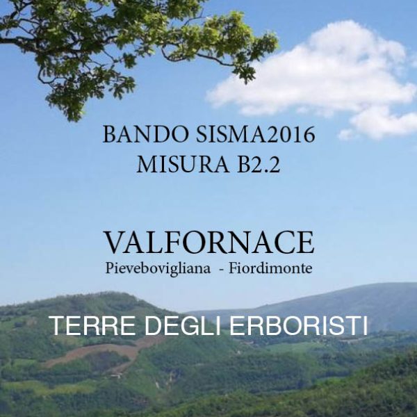 DEGLI_ERBORISTI.jpg